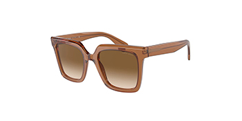 Georgio Armani AR8156 Transparant Brown_S