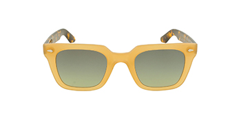 Moscot Honey Tortoise-S